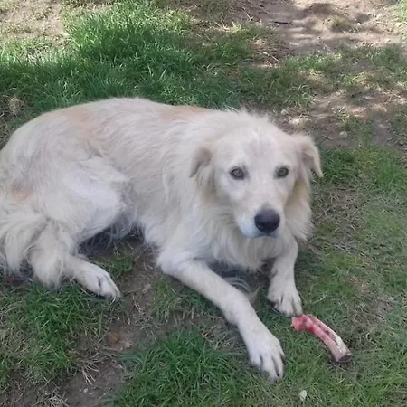 Casa Patti Alle Porte Di 锡耶纳