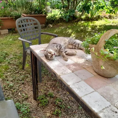 Casa Patti Alle Porte Di 公寓