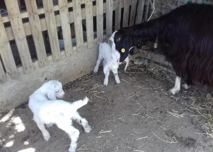Casa Patti Alle Porte Di Siena