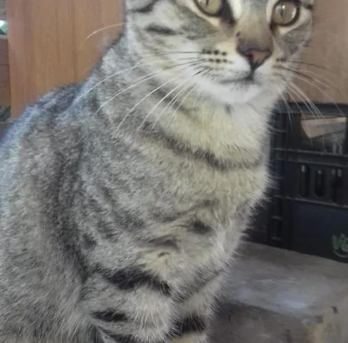 Casa Patti Alle Porte Di *