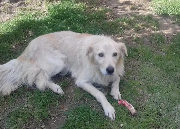 Casa Patti Alle Porte Di 시에나