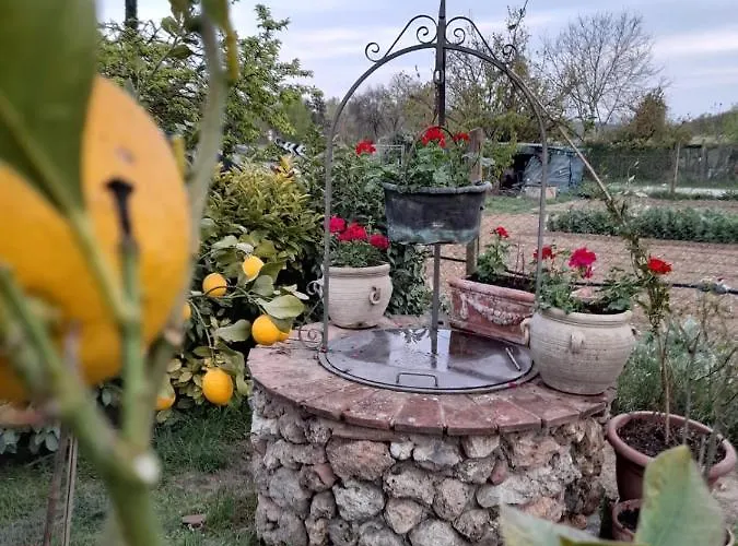 Casa Patti Alle Porte Di 시에나