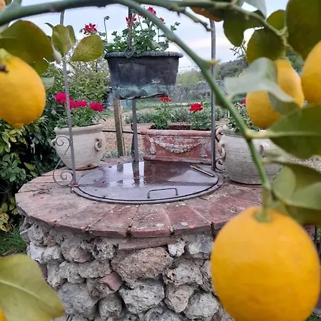 Casa Patti Alle Porte Di *