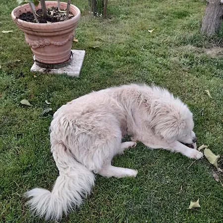 Casa Patti Alle Porte Di شقة *