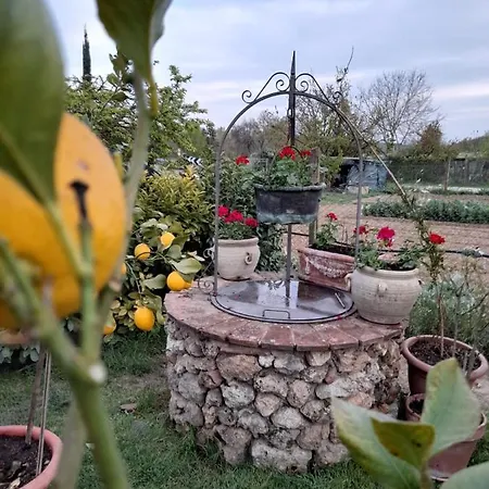 Casa Patti Alle Porte Di Siena