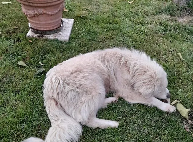 Casa Patti Alle Porte Di Apartmán *